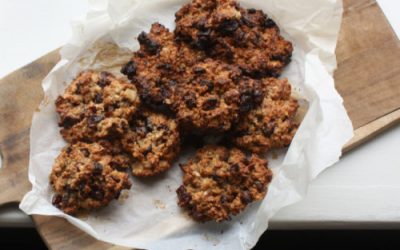 Cranberry quinoa cookies