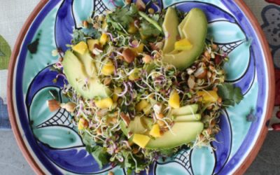 Sprouted bean salad