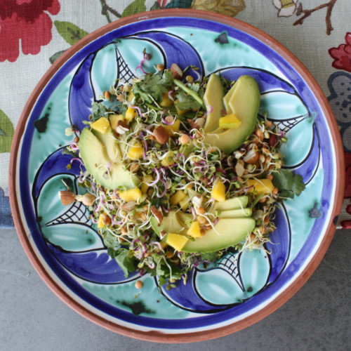 Sprouted bean salad