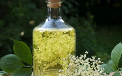 Homemade elderflower cordial