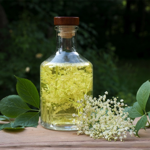 Homemade elderflower cordial