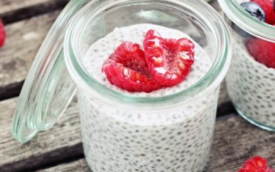 Chia berry pots