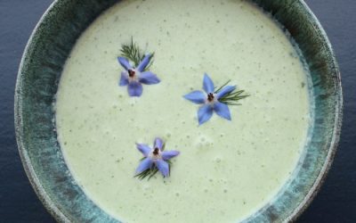 Chilled Cucumber Soup