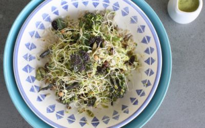 Sprouted rice and broccoli salad with avocado & basil dressing