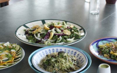 Spinach, bean and hazelnut salad